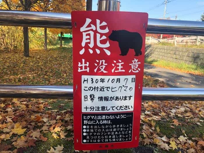 北海道立真駒内公園の紅葉ランで絶景を堪能しました