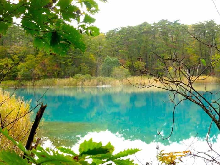 「五色沼湖沼群」散策のススメ！ 福島県裏磐梯の神秘の地を完全攻略