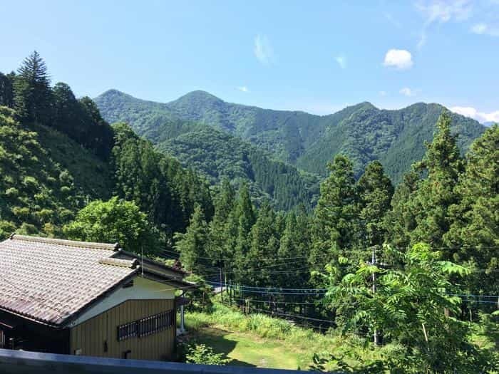 【奥武蔵で眺望の良い山】丸山・堂平山を縦走。最後に襲った悲劇とは・・・