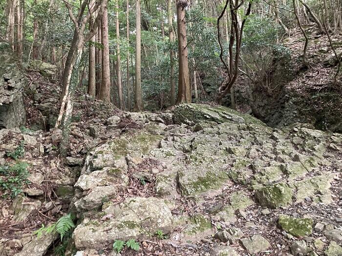 【対馬】世界の山々を登頂したクライマーも「この山は面白い！」といった白嶽（しらたけ）とはどんな山？