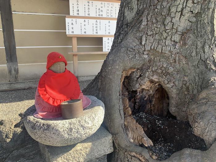 京都の隠れた世界遺産！？「東寺」の魅力にハマっちゃおう！！