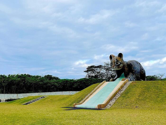 【西表島】野生動物の生態について知ろう！～西表野生動物保護センター～