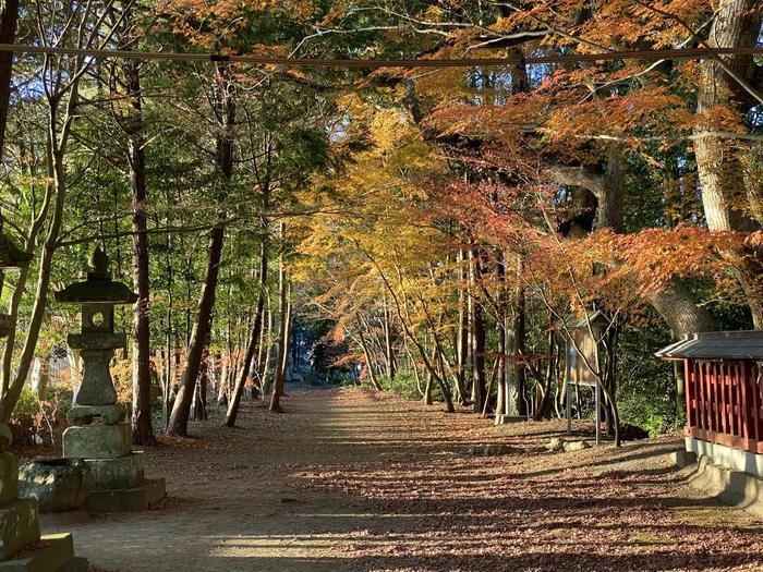 まだまだ見所たくさん！福岡県・大分県ぐるっと秘境を巡る旅