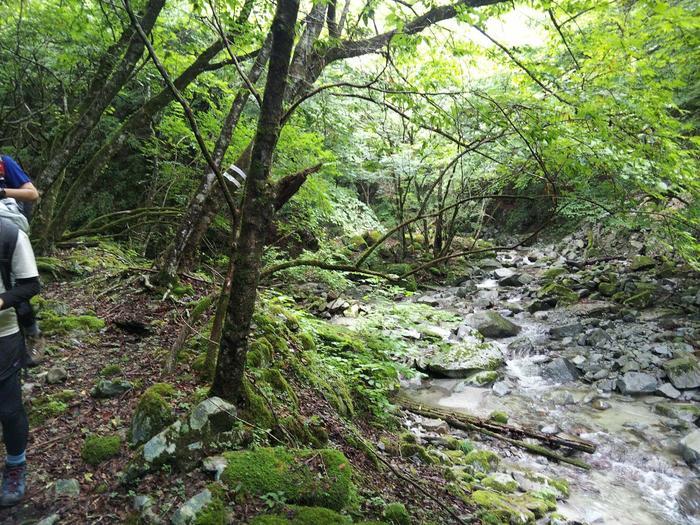 【真夏の低山登山】夏におすすめ！涼を求めて西丹沢・畦ヶ丸山を歩く