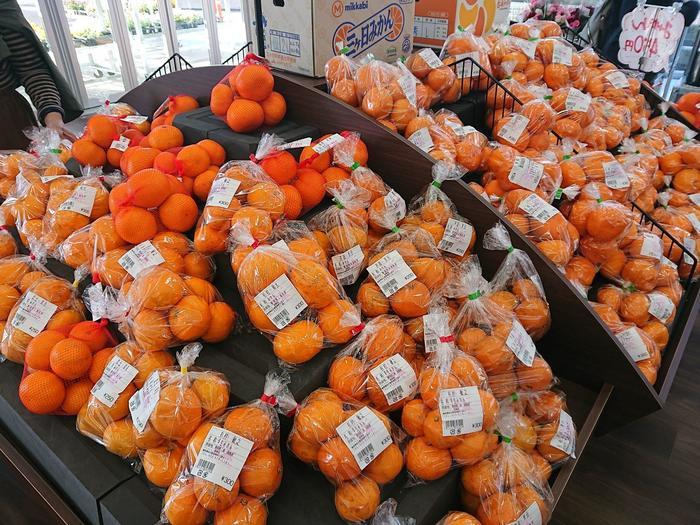 【静岡県】箱根西麓三島野菜を富士山を望む絶景の中で食べてきた