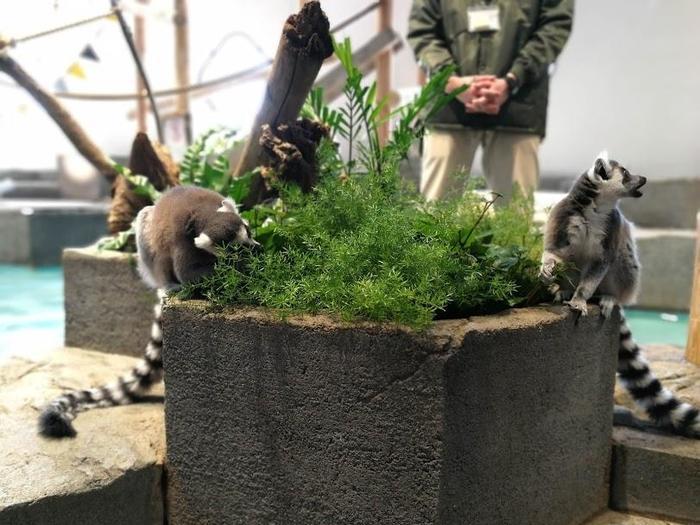 【大阪府／吹田市】水族館や動物園が融合した観光スポット・ニフレルを徹底解説！