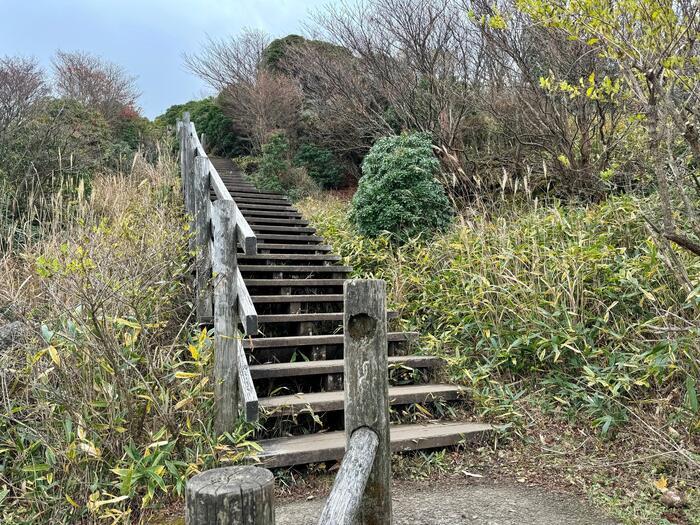 【日本百名山】26座目は摩訶不思議な世界が広がる久住山（大分県）