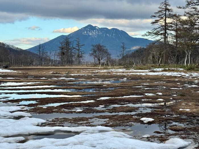 7回目の尾瀬はゴールデンウイーク後半に（群馬・福島）お疲れ様でした！