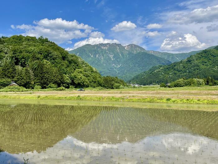 【新潟】八海山の絶景を望むトミオカホワイト美術館