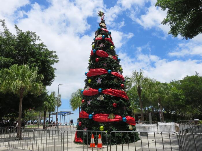 【オーストラリア】夏のクリスマスをトロピカルなケアンズで感じる