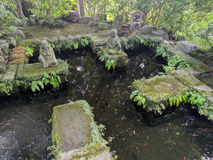 【神奈川】私の真夏の鎌倉 大人な旅 名刹とグルメを求めて