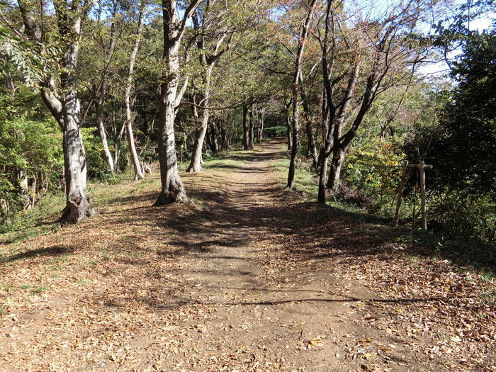 弘法山公園（弘法山）は初心者にも優しいお手軽ハイキングコース