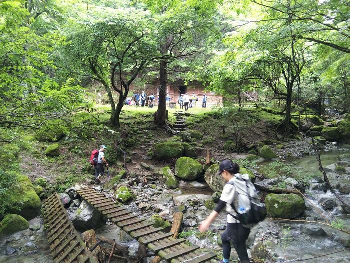 【真夏の低山登山】夏におすすめ！涼を求めて西丹沢・畦ヶ丸山を歩く