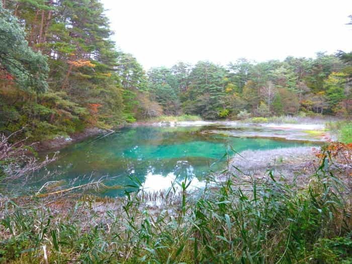 「五色沼湖沼群」散策のススメ！ 福島県裏磐梯の神秘の地を完全攻略