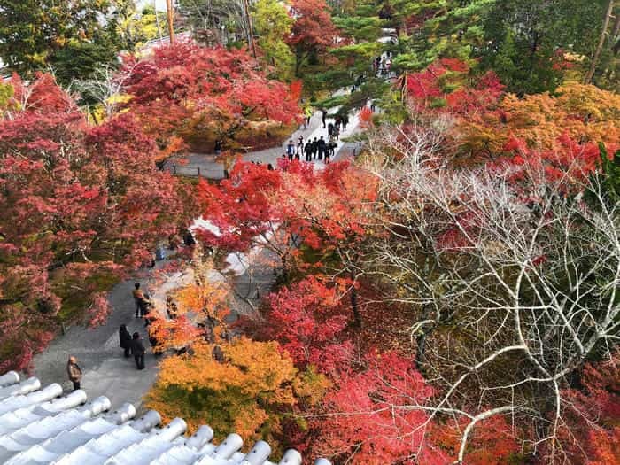 紅葉に食べられそう...秋の京都「南禅寺」と「永観堂」は素晴らしかった！