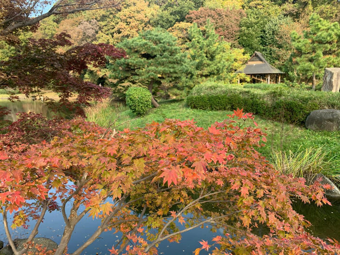 【千葉県市川市】東京のお隣、市川市で気軽に紅葉が楽しめる名所3選