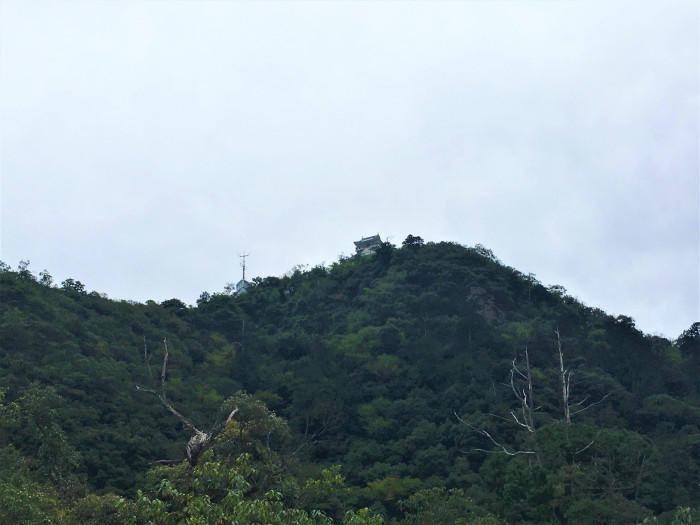 天上に建つ岐阜城！金華山登山も紅葉も見どころたくさん