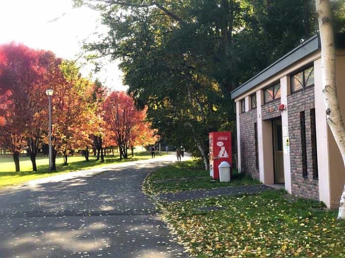 北海道立真駒内公園の紅葉ランで絶景を堪能しました