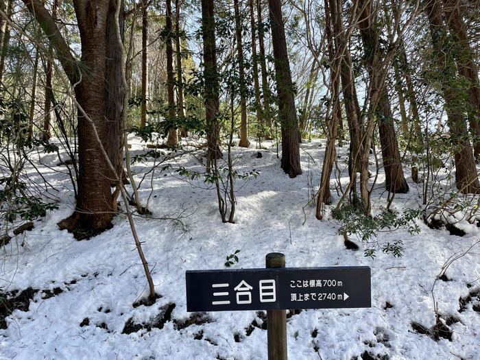 【滋賀】雪山入門編　眺望が素晴らしい綿向山