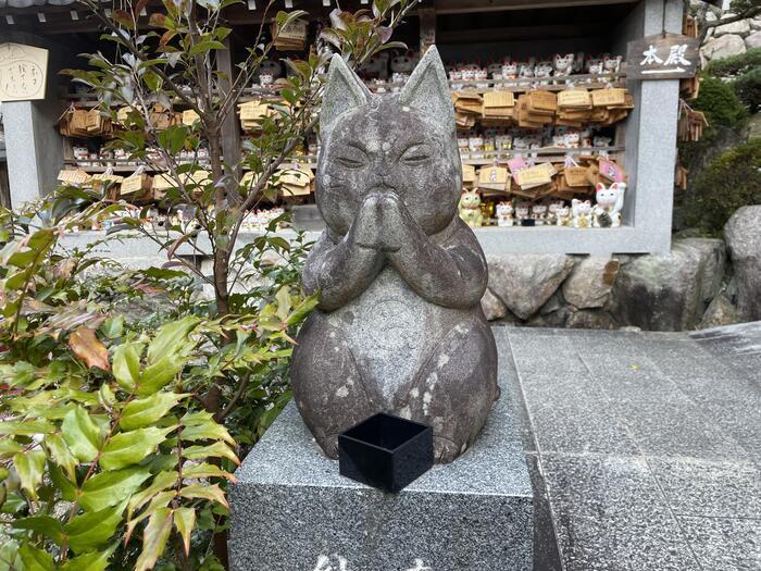 【徳島】猫神様に合格祈願！？「お松大権現」は猫好き必訪のパワースポット