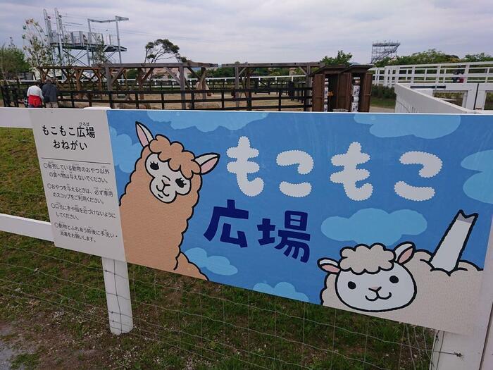 海・花・空の絶景！ 横須賀西海岸ソレイユの丘に行ってきた