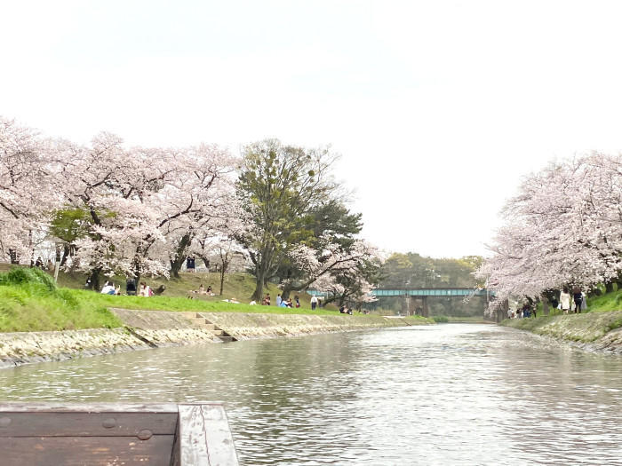 【愛知県】知る人ぞ知る四季の折々のお花見スポットをご紹介