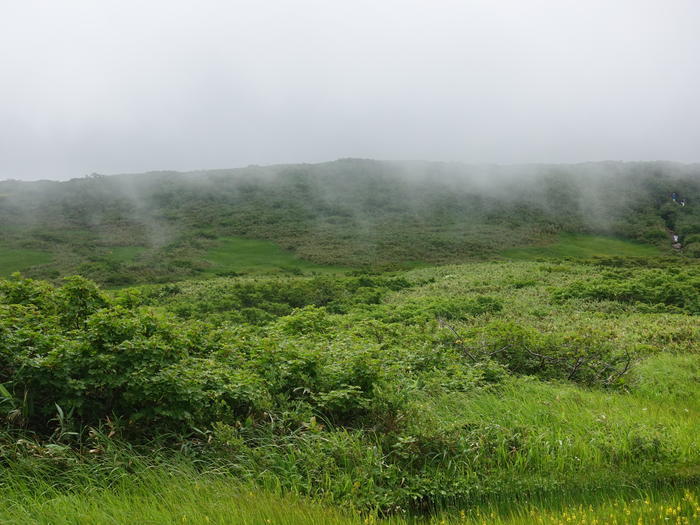 【山形】月山八合目・弥陀ヶ原湿原の歩き方