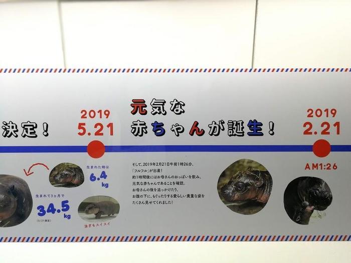 【大阪府／吹田市】水族館や動物園が融合した観光スポット・ニフレルを徹底解説！