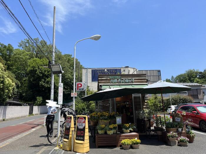 東京で海外旅行をしよう