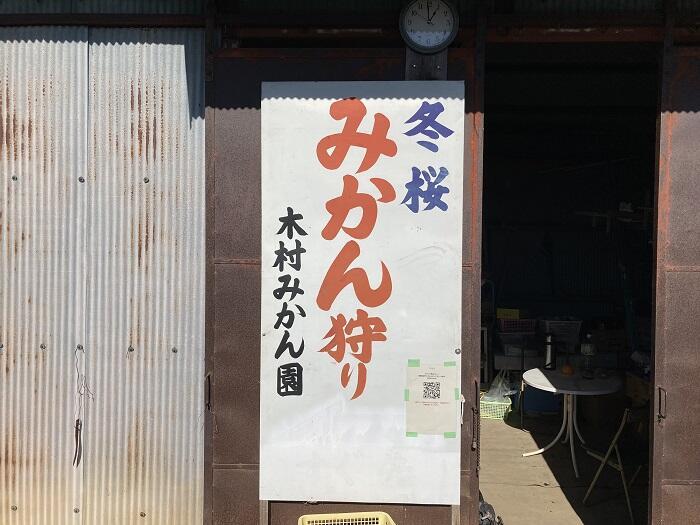 【群馬・藤岡】紅葉と桜を一度に楽しめる桜山公園とみかん狩りと藍染体験