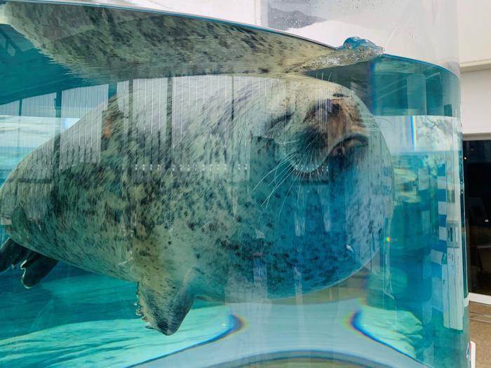 京都のど真ん中で「密」回避！？芝生に電車に水族館でゆっくりと休日を過ごそう！