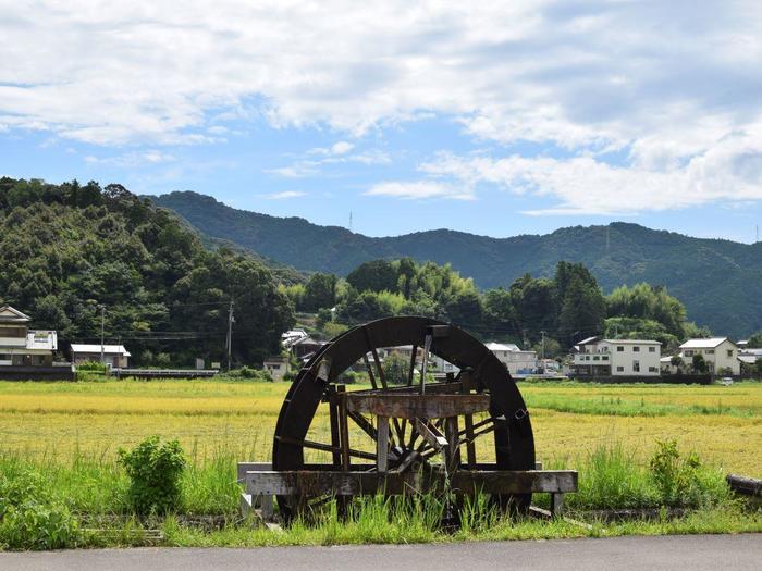 実際よく沈む？ 四万十川の沈下橋とは～おすすめの沈下橋3選付き～