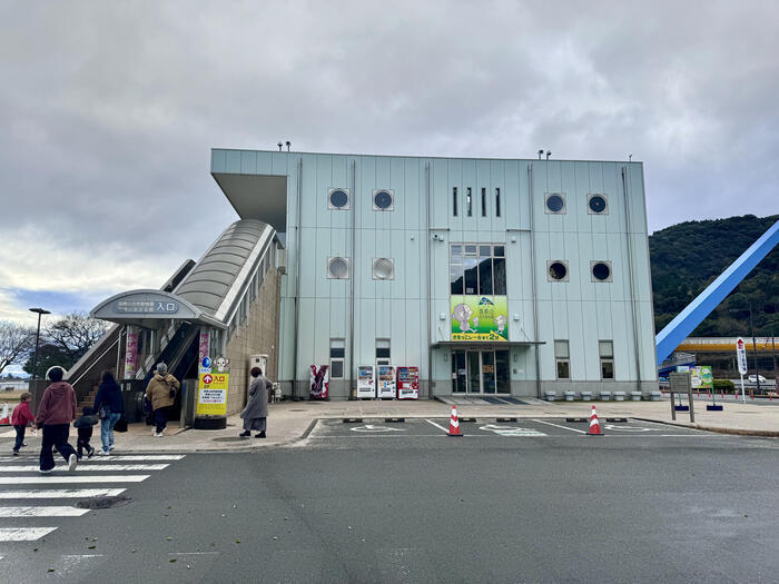 【大分】おサルさんの聖地でこんにちは！高崎山自然動物園