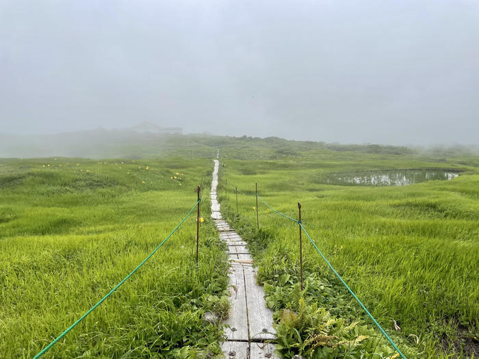 【山形】月山八合目・弥陀ヶ原湿原の歩き方