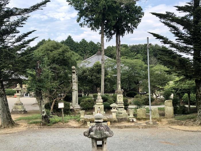 【拝仏記】兵庫・浄土寺の阿弥陀三尊様はまさに極楽浄土のよう