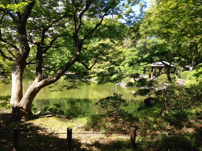 東京／お散歩好きな方必見！都心のど真ん中にこんな緑豊かな場所があるなんて・・・