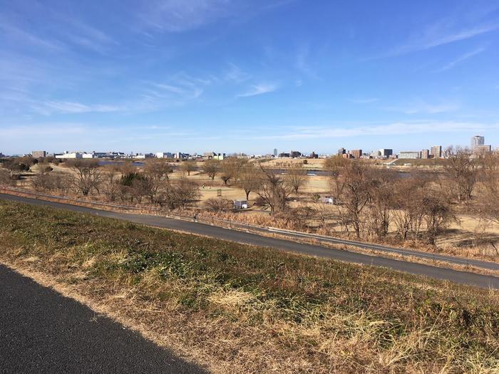 【おすすめ】首都圏から近いお散歩コース＜荒川河川敷編＞