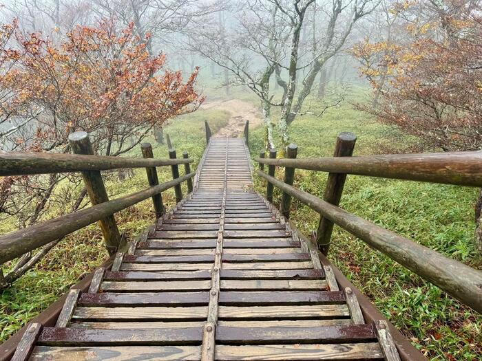 【日本百名山】24座目は大台ヶ原山を周回するはずが...（奈良県・三重県）