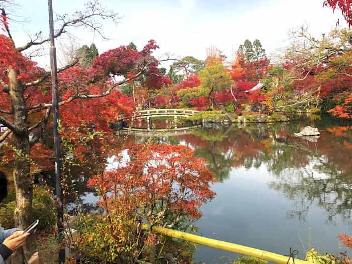 紅葉に食べられそう...秋の京都「南禅寺」と「永観堂」は素晴らしかった！