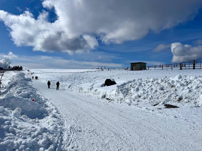 【日本百名山】15座目は美ヶ原（王ヶ頭）のパノラマコースを雪中ウォーキング（長野県）