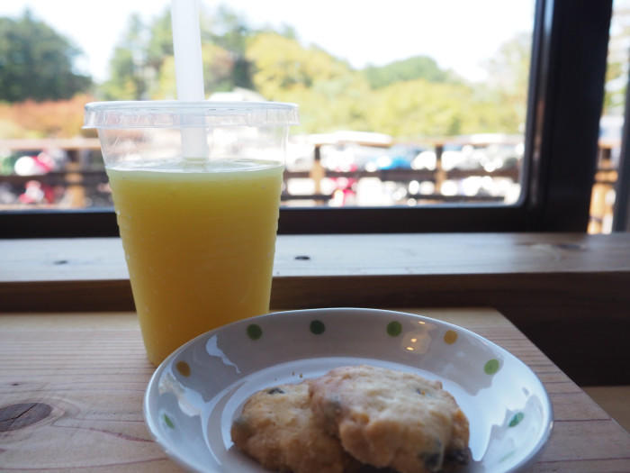 【愛媛県】西日本最高峰、紅葉の石鎚山と土小屋テラスの絶品ジビエコロッケを紹介♪