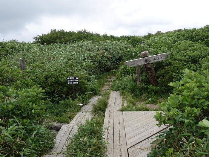 【山形】月山八合目・弥陀ヶ原湿原の歩き方