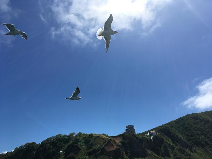 日本にも青の洞窟があるのをご存じでしたか？北海道にあります！