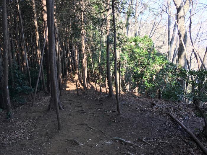 【埼玉・飯能】顔振(かあぶり)峠:義経伝説と渋沢平九郎の悲劇の舞台