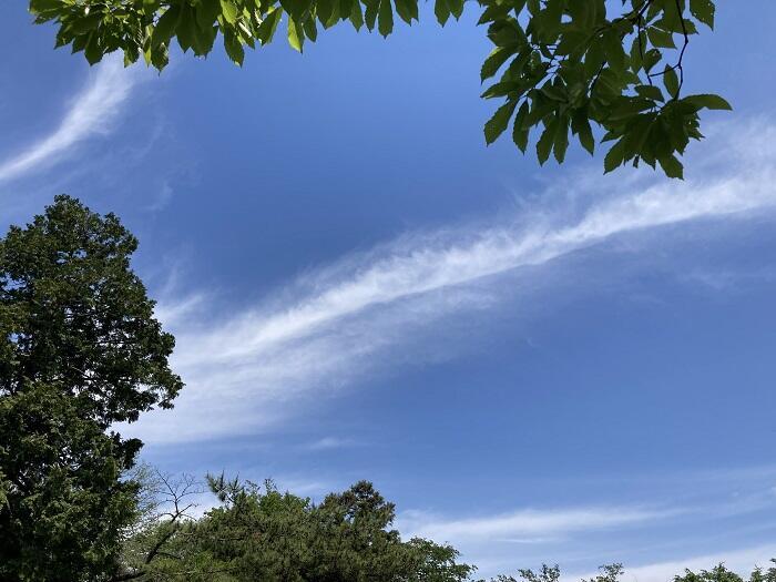 【八王子】とても公園とは思えない、しっかり山歩きを楽しめる「長沼公園」を歩く