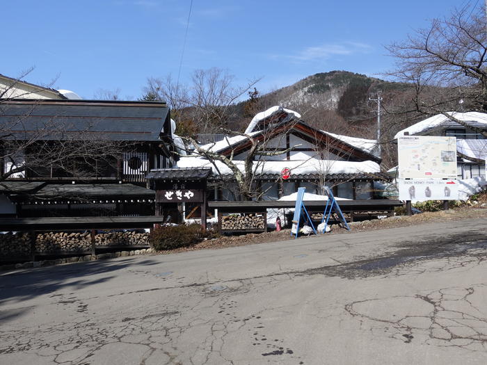 【長野】世界でここだけ！ニホンザルが温泉に入る地獄谷野猿公苑