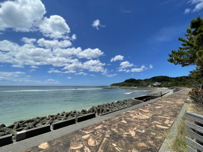 【苓北町】黄緑色のチャンポン…なんですかそれは？苓北町の「いさりび」のチャンポンがそうらしい