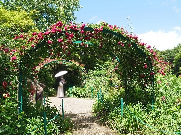 【高知】まるでモネの絵に入りこんだような至福の時間！北川村「モネの庭」マルモッタン