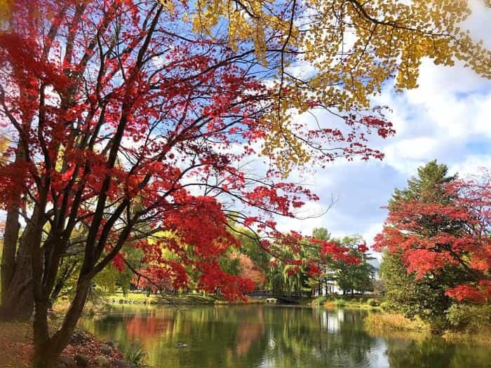 北海道立真駒内公園の紅葉ランで絶景を堪能しました