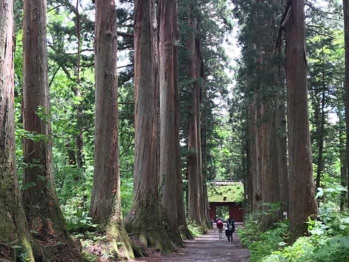 【長野】戸隠神社の見どころを紹介！ご利益、グルメ、御朱印の情報もお届け